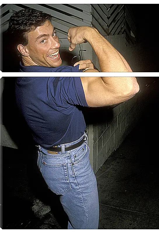 Модульная картина - Жан-Клод Ван Дамм. Jean-Claude Van Damme