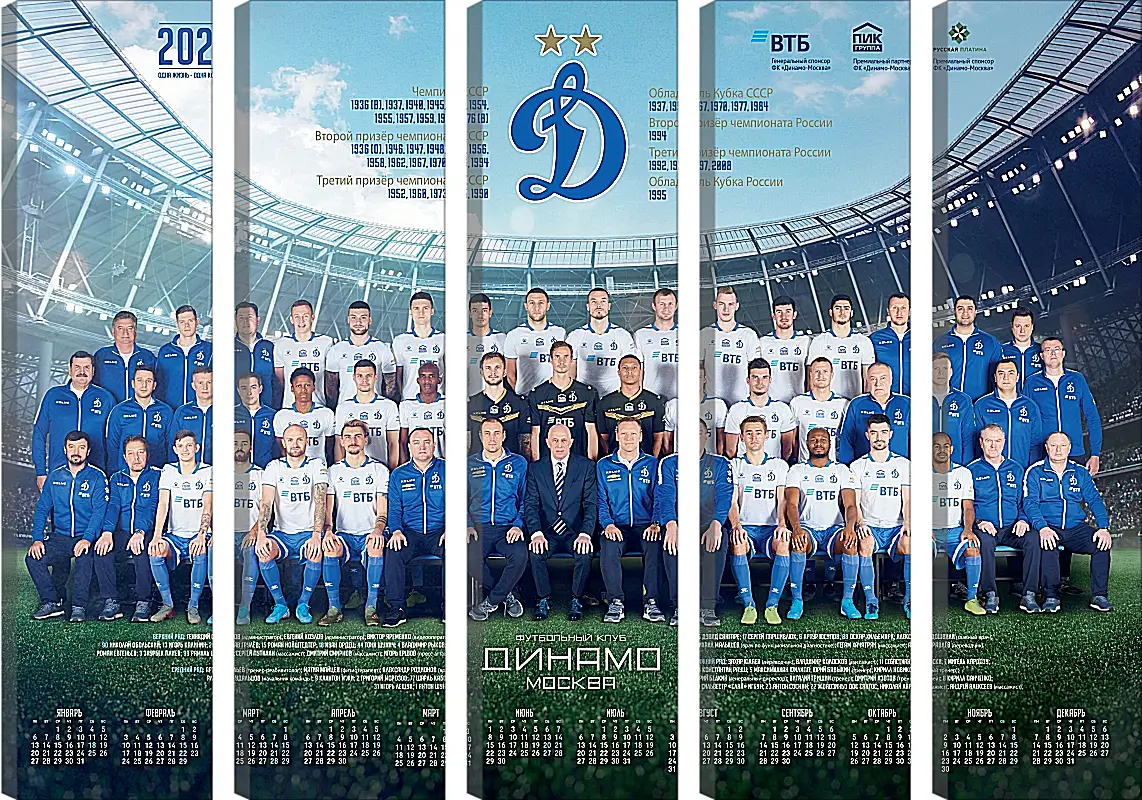 Модульная картина - ФК Динамо Москва. FC Dynamo Moscow