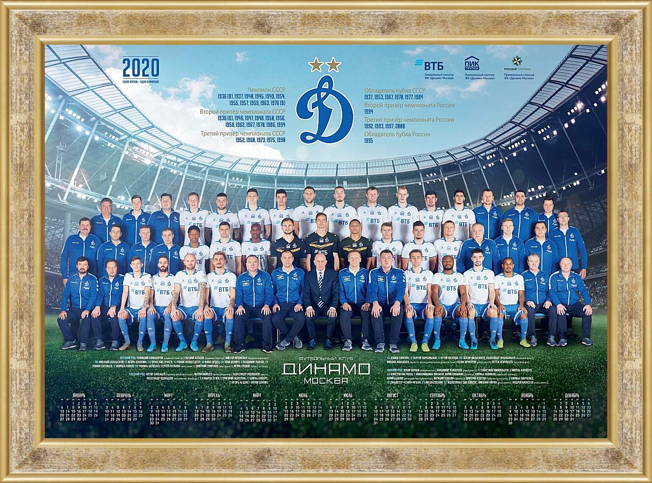 Картина в раме - ФК Динамо Москва. FC Dynamo Moscow