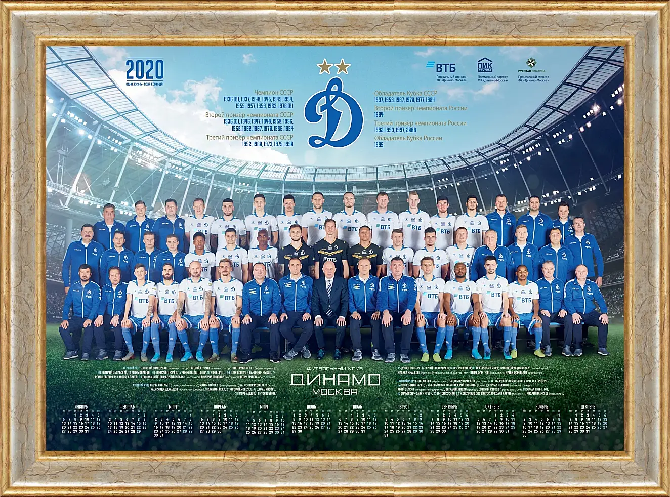 Картина в раме - ФК Динамо Москва. FC Dynamo Moscow