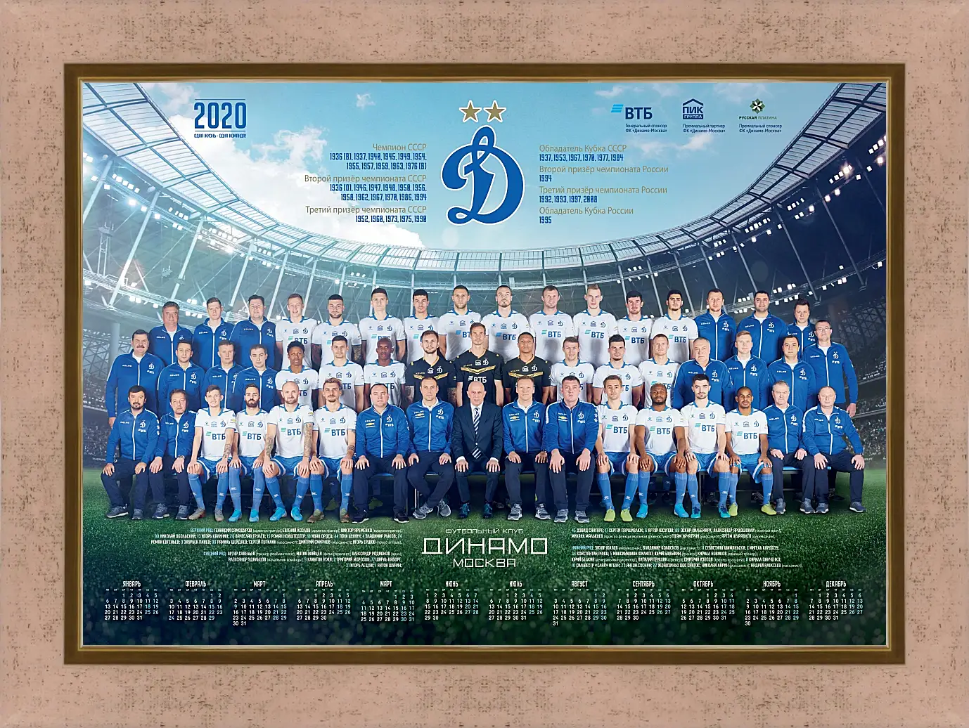 Картина в раме - ФК Динамо Москва. FC Dynamo Moscow