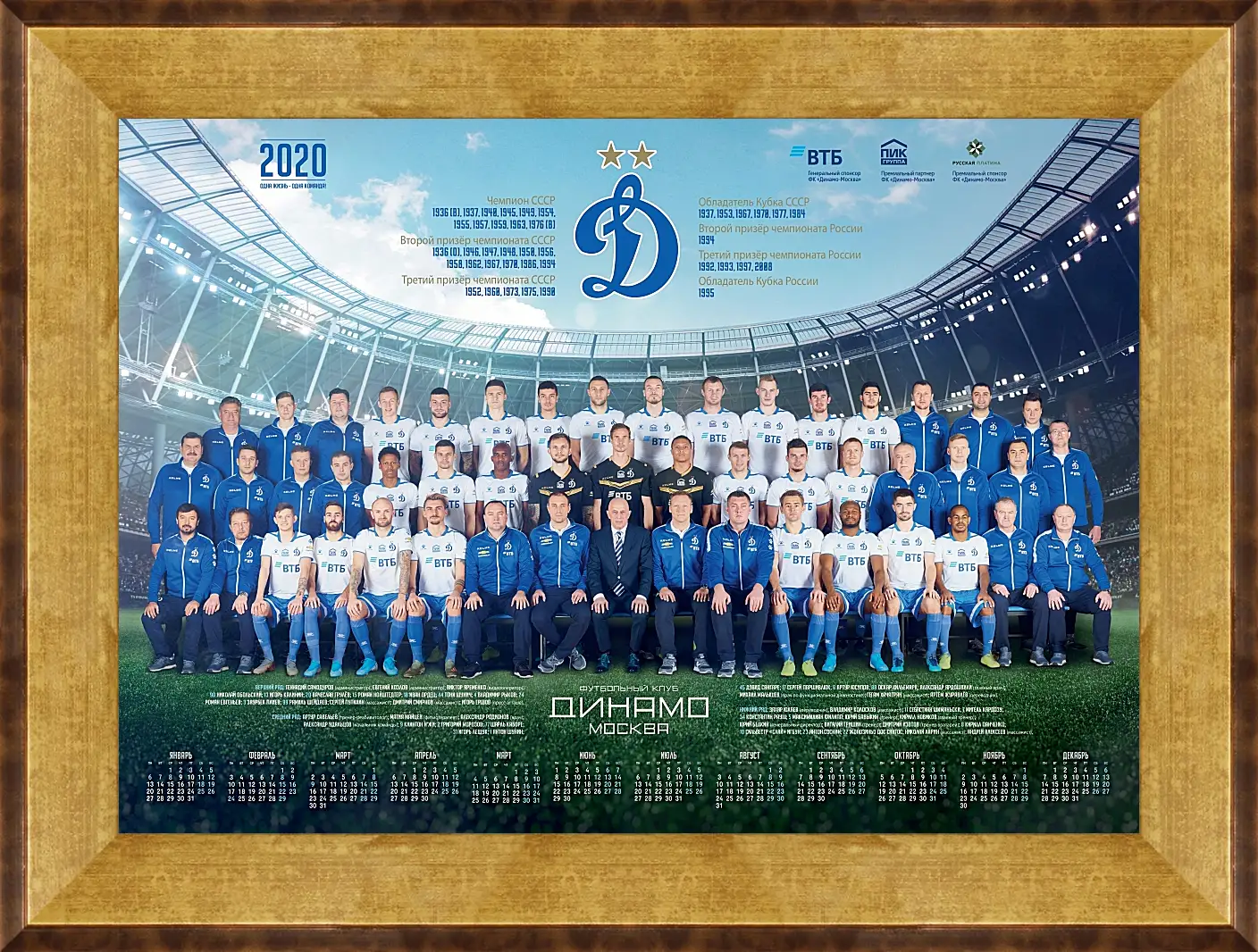 Картина в раме - ФК Динамо Москва. FC Dynamo Moscow