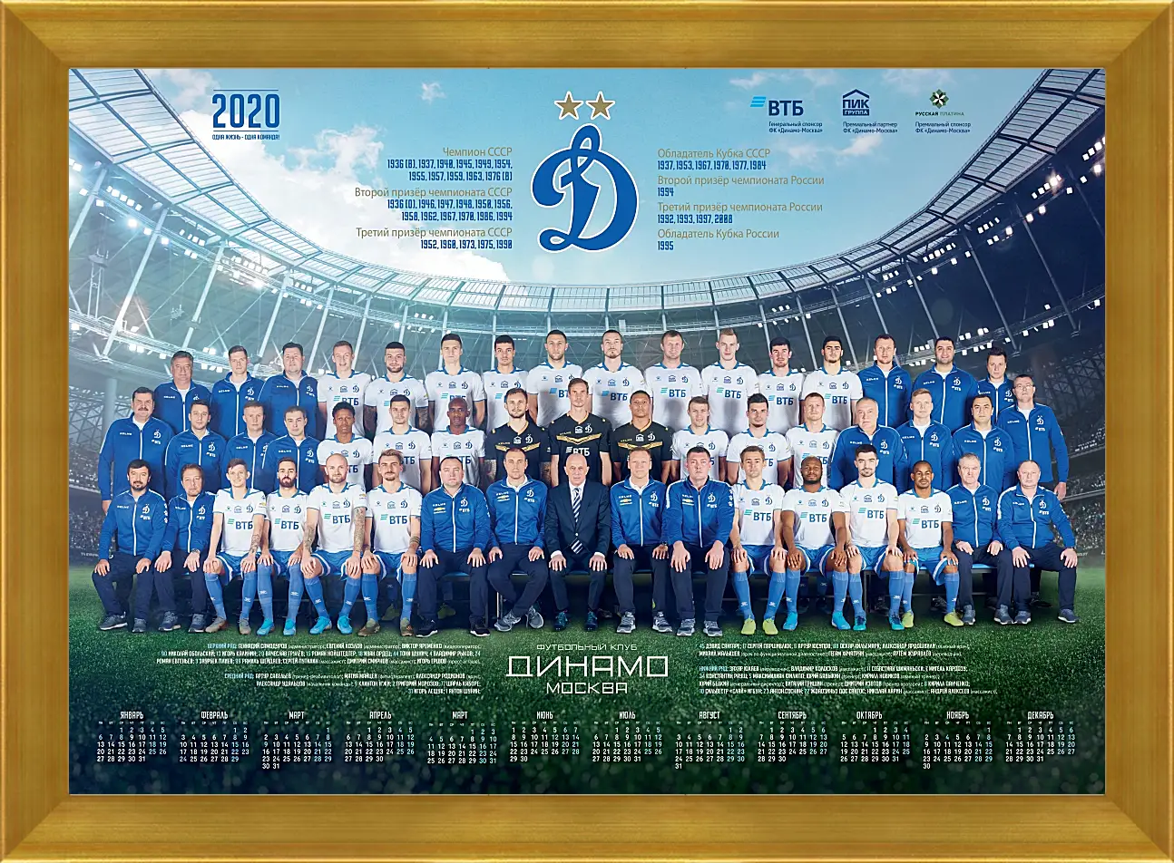 Картина в раме - ФК Динамо Москва. FC Dynamo Moscow