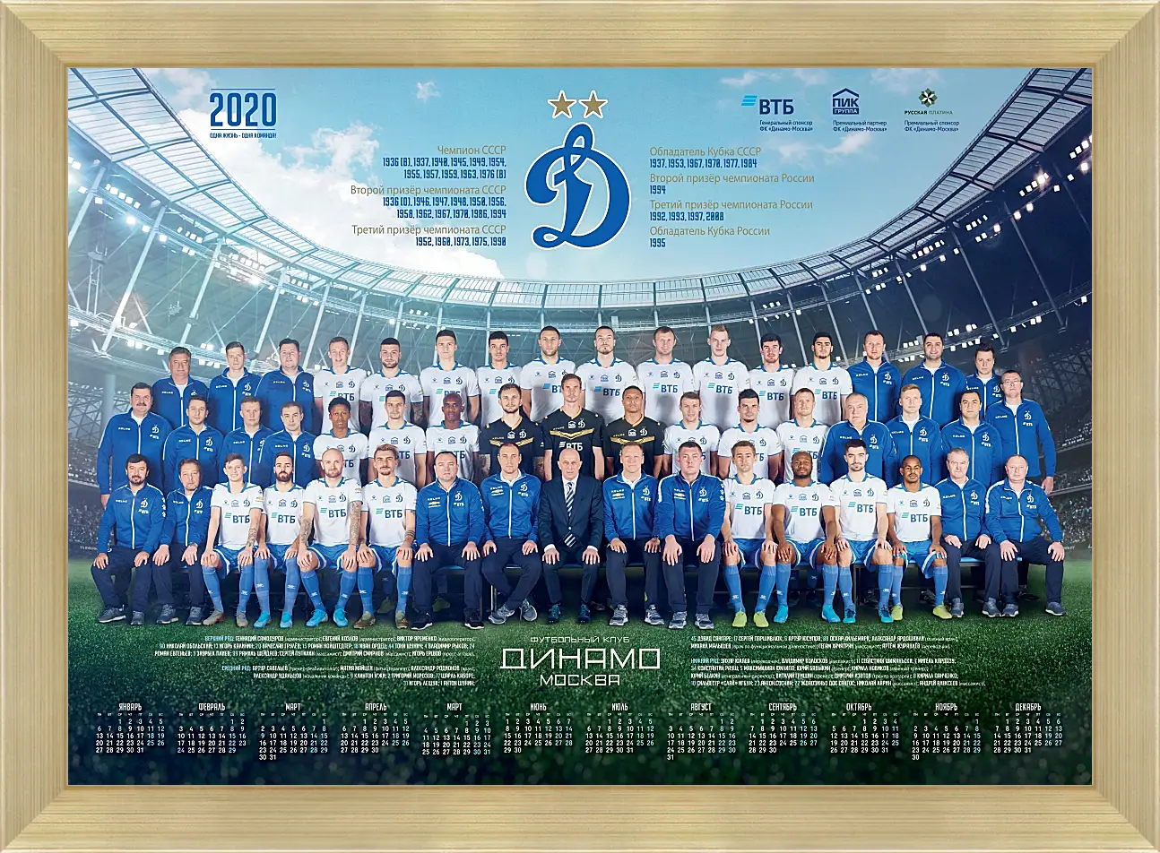 Картина в раме - ФК Динамо Москва. FC Dynamo Moscow