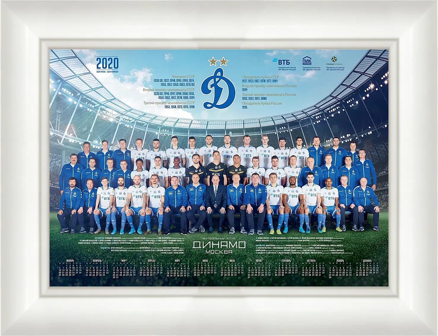 Картина в раме - ФК Динамо Москва. FC Dynamo Moscow