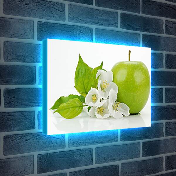 Лайтбокс световая панель - Зелёное яблоко и цветы