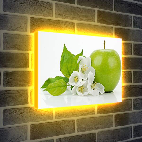 Лайтбокс световая панель - Зелёное яблоко и цветы