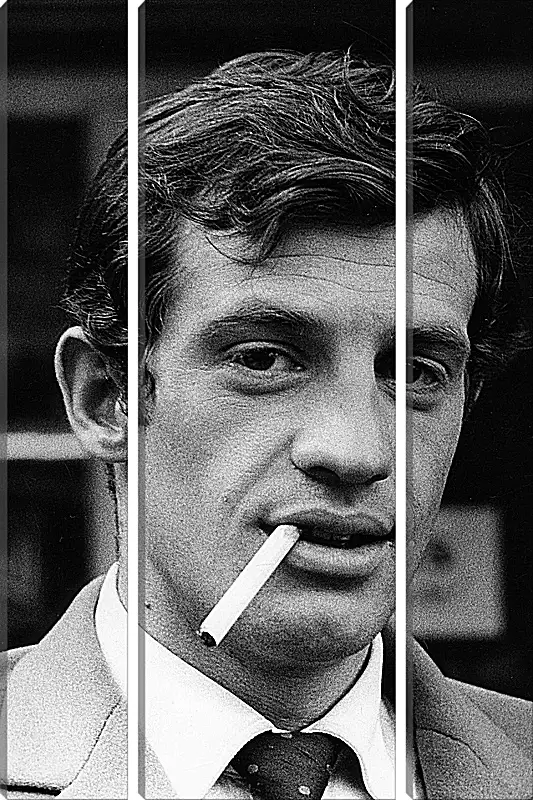 Модульная картина - Жан-Поль Бельмондо. Jean-Paul Belmondo