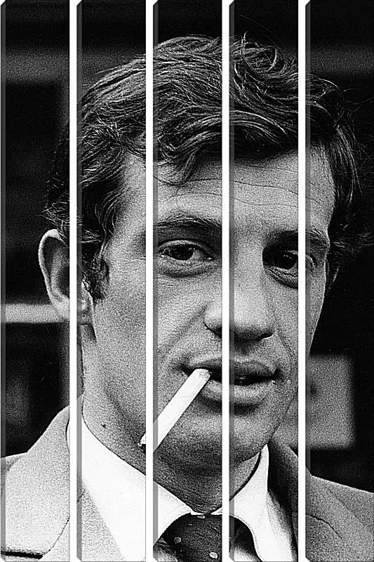 Модульная картина - Жан-Поль Бельмондо. Jean-Paul Belmondo