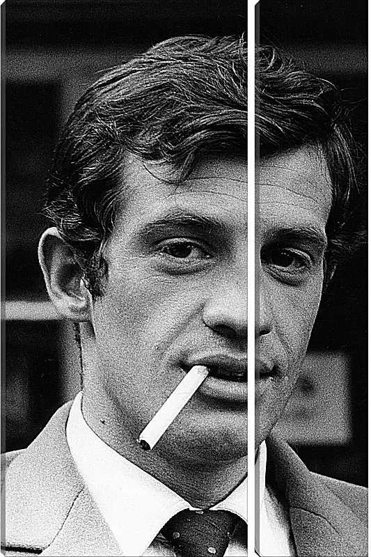 Модульная картина - Жан-Поль Бельмондо. Jean-Paul Belmondo