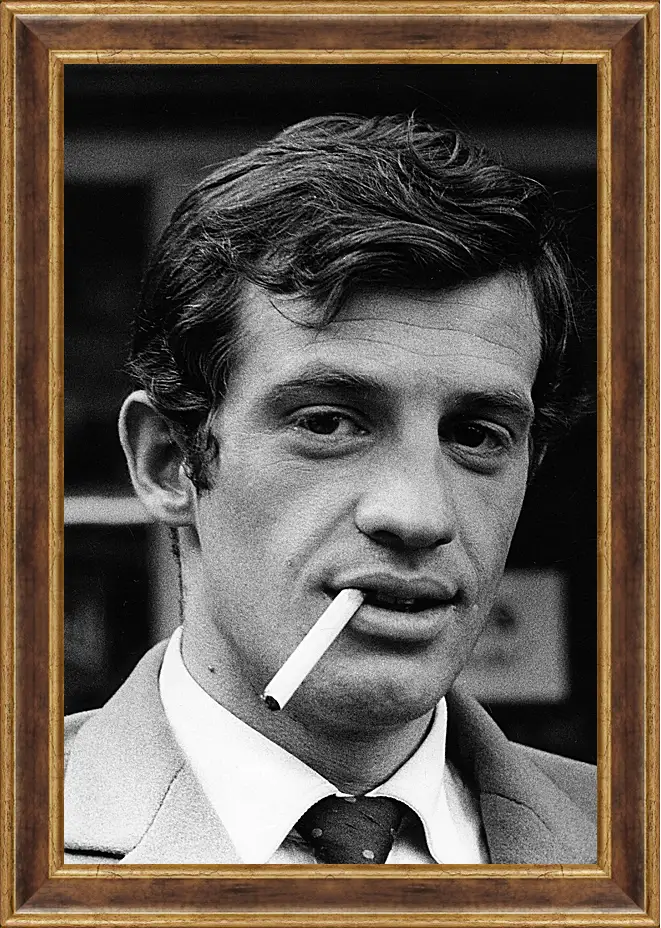 Картина в раме - Жан-Поль Бельмондо. Jean-Paul Belmondo