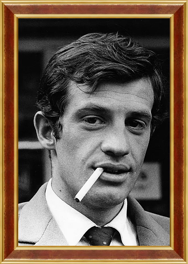 Картина в раме - Жан-Поль Бельмондо. Jean-Paul Belmondo