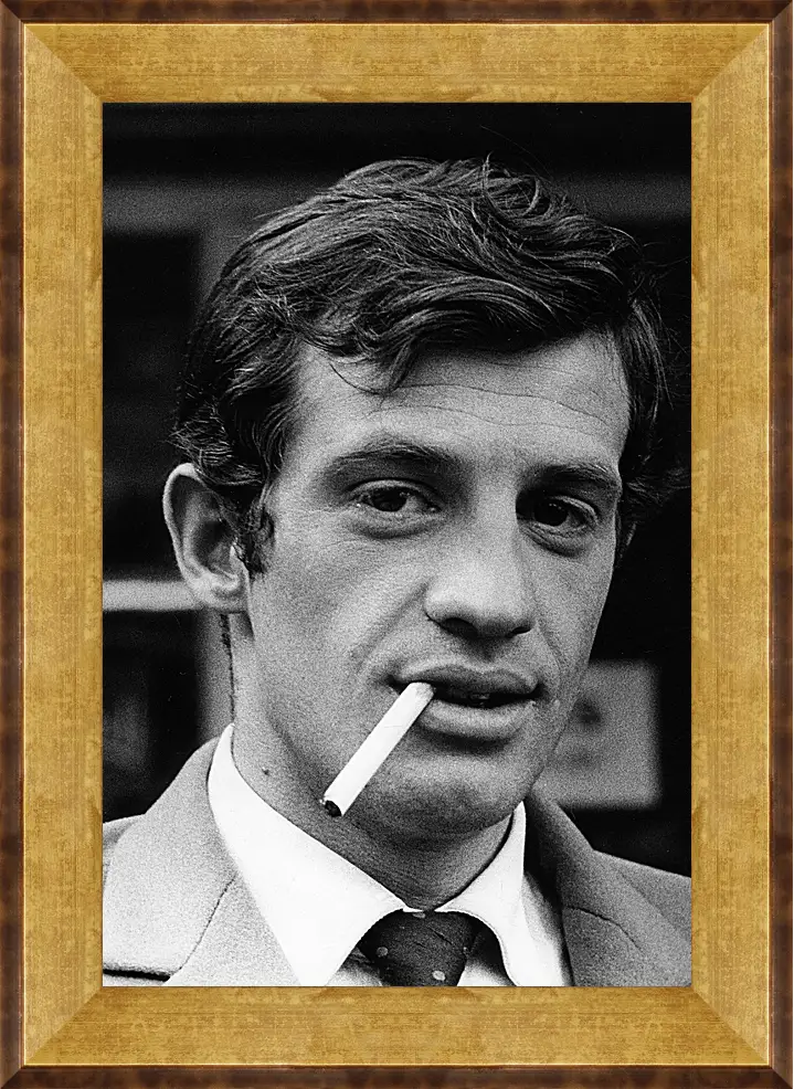 Картина в раме - Жан-Поль Бельмондо. Jean-Paul Belmondo