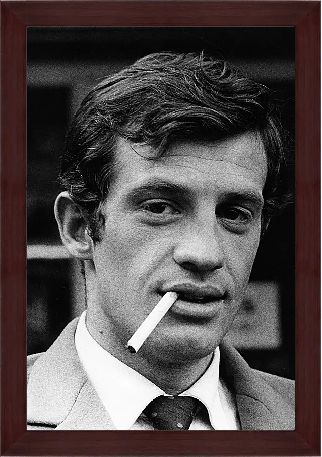 Картина в раме - Жан-Поль Бельмондо. Jean-Paul Belmondo