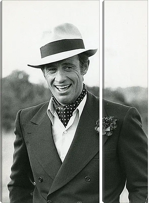 Модульная картина - Жан-Поль Бельмондо. Jean-Paul Belmondo