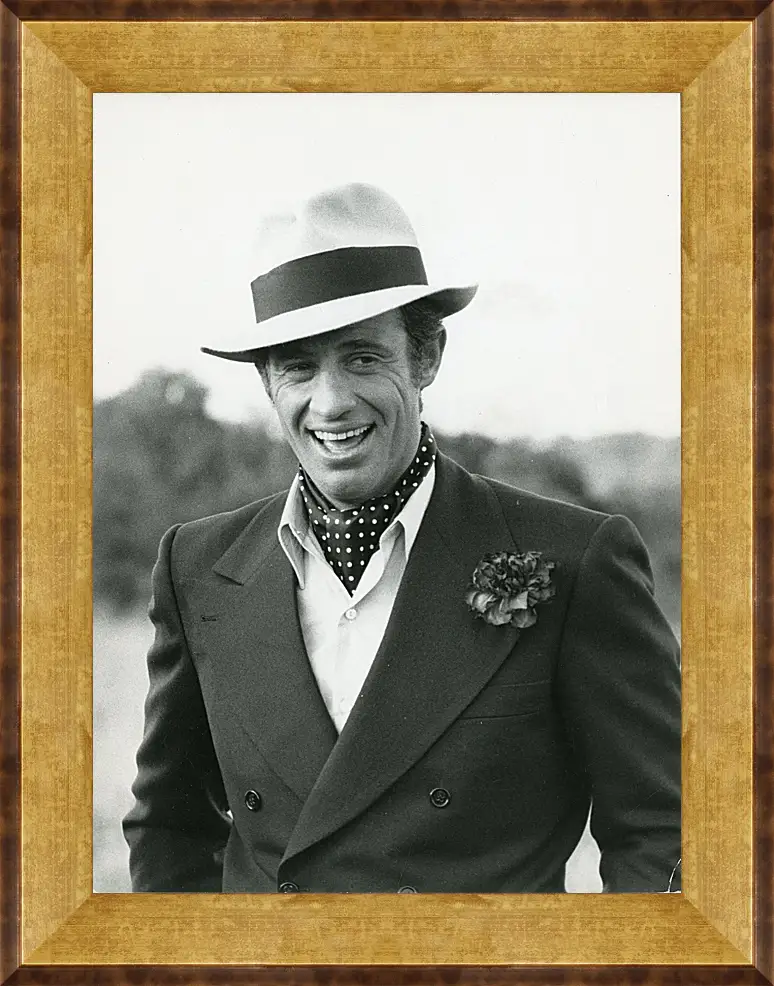 Картина в раме - Жан-Поль Бельмондо. Jean-Paul Belmondo