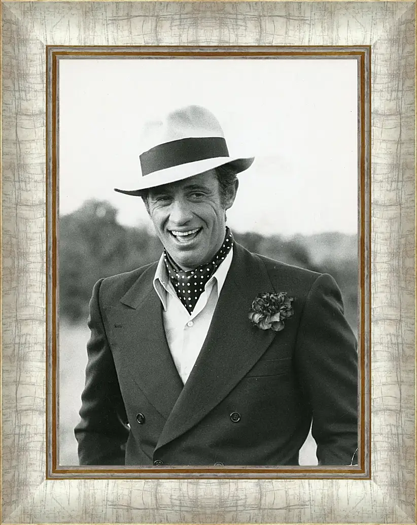Картина в раме - Жан-Поль Бельмондо. Jean-Paul Belmondo