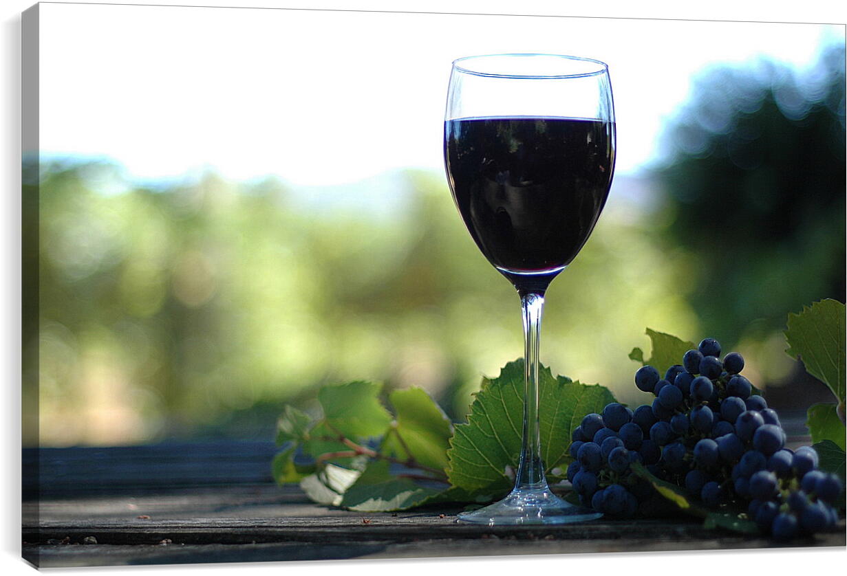 Постер и плакат - Бокал вина и гроздь винограда