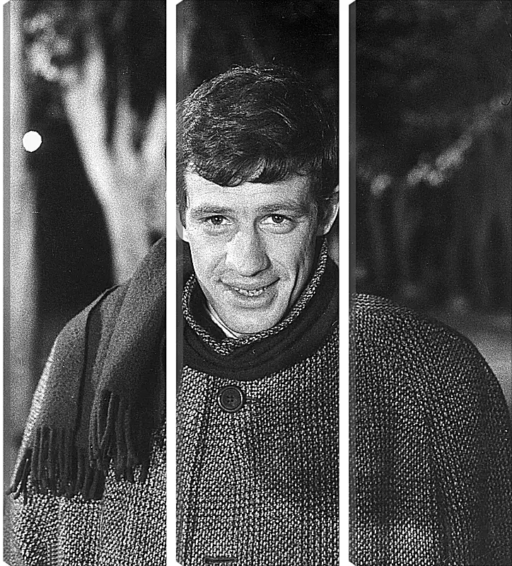 Модульная картина - Жан-Поль Бельмондо. Jean-Paul Belmondo