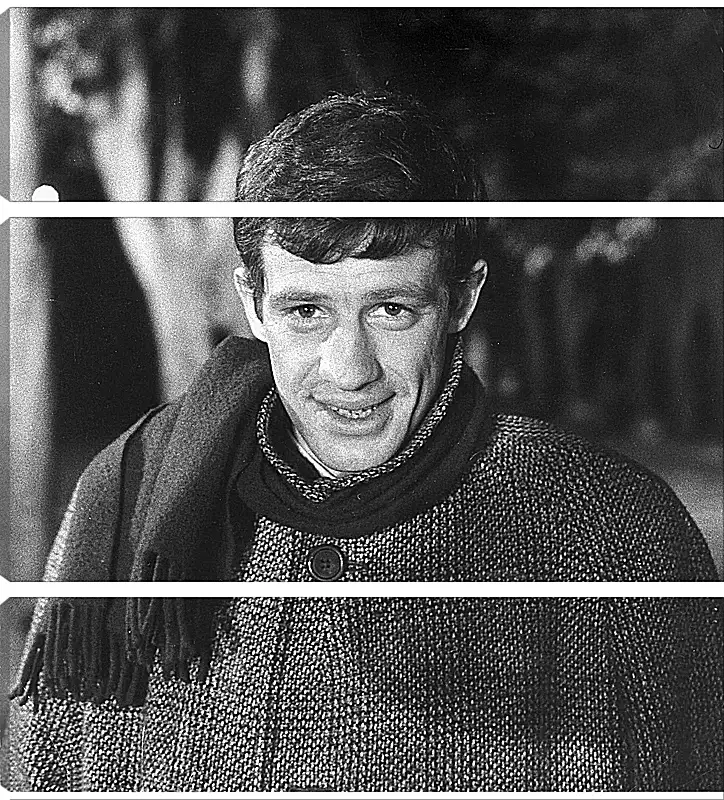 Модульная картина - Жан-Поль Бельмондо. Jean-Paul Belmondo