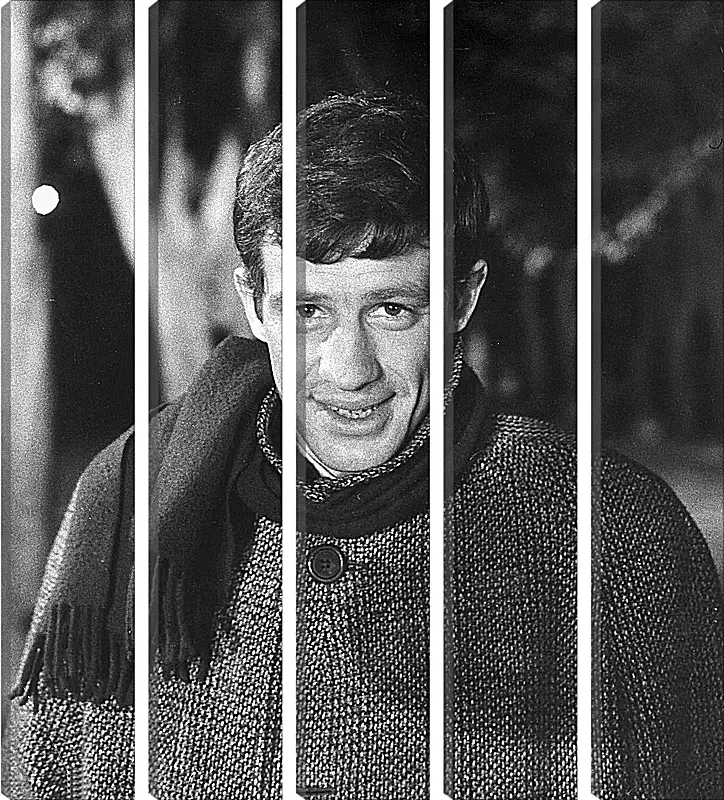 Модульная картина - Жан-Поль Бельмондо. Jean-Paul Belmondo