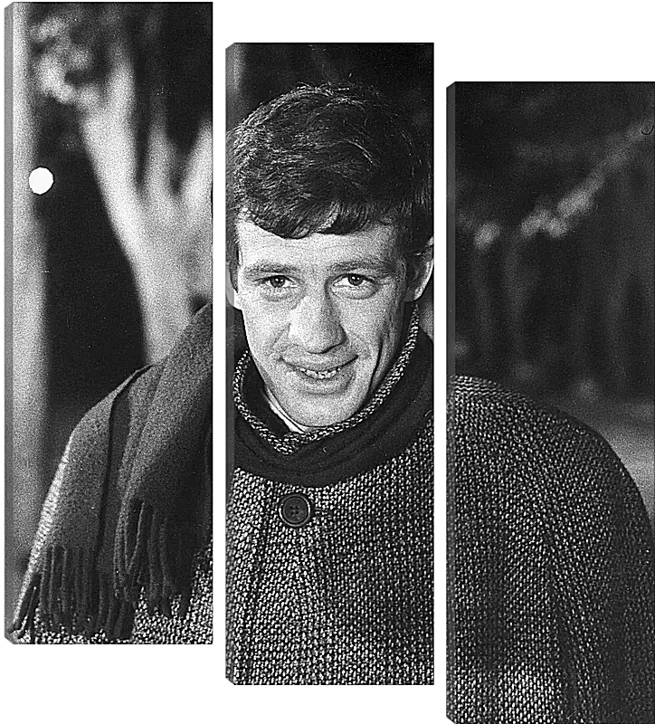 Модульная картина - Жан-Поль Бельмондо. Jean-Paul Belmondo