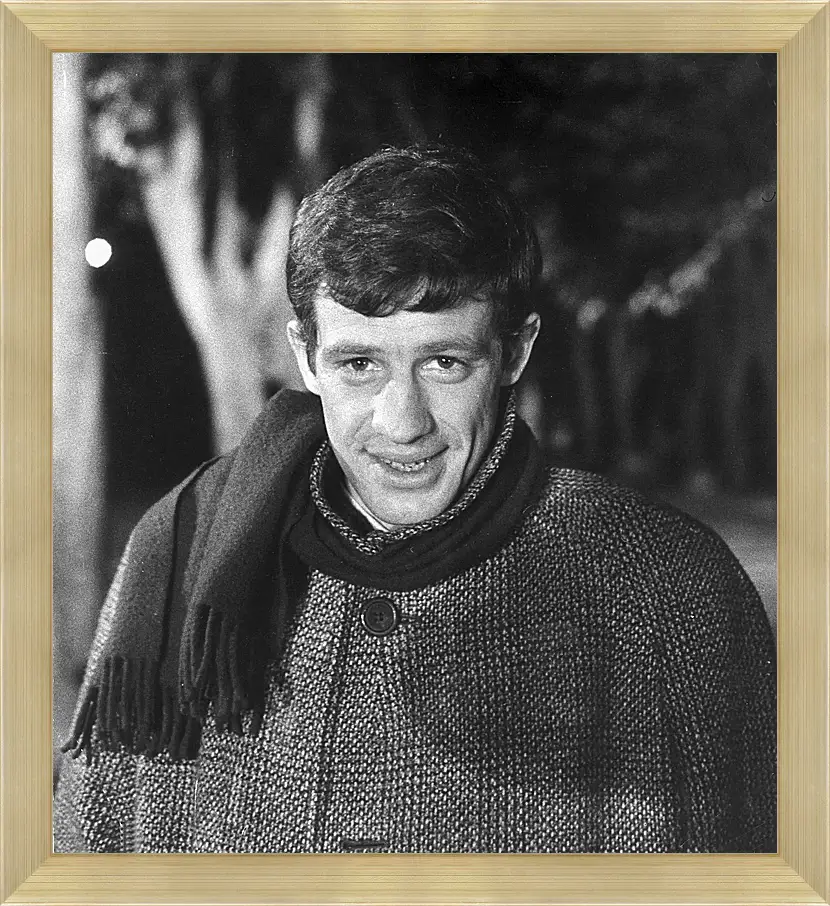 Картина в раме - Жан-Поль Бельмондо. Jean-Paul Belmondo