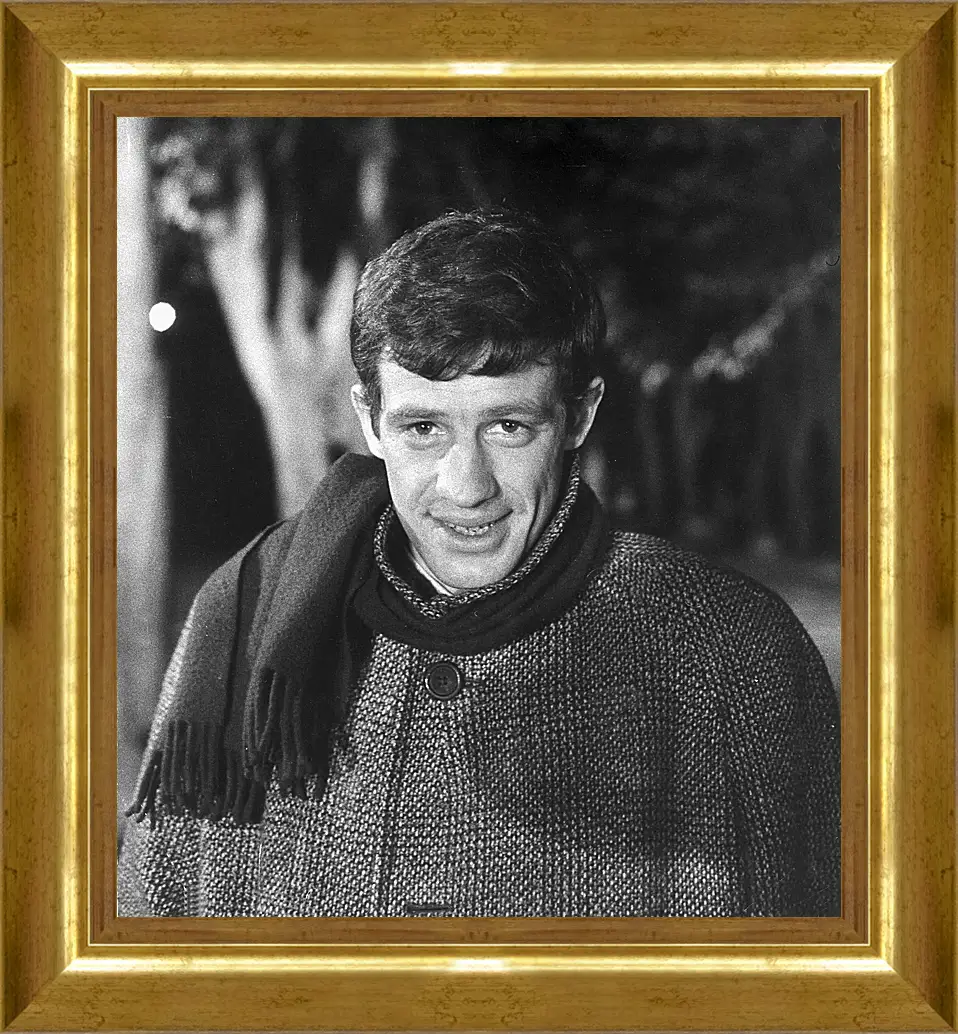 Картина в раме - Жан-Поль Бельмондо. Jean-Paul Belmondo