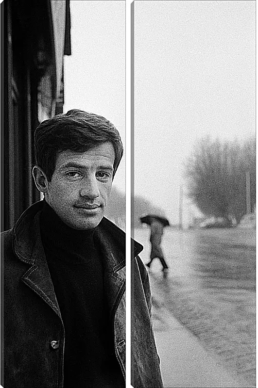 Модульная картина - Жан-Поль Бельмондо. Jean-Paul Belmondo