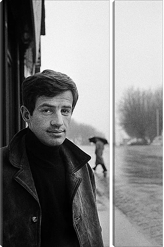 Модульная картина - Жан-Поль Бельмондо. Jean-Paul Belmondo