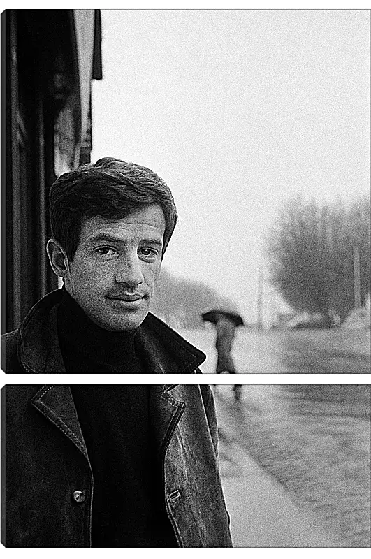 Модульная картина - Жан-Поль Бельмондо. Jean-Paul Belmondo