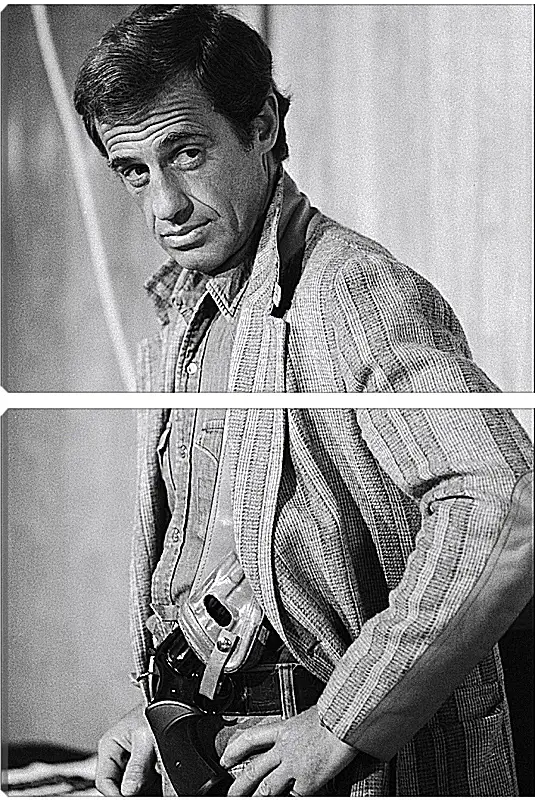 Модульная картина - Жан-Поль Бельмондо. Jean-Paul Belmondo