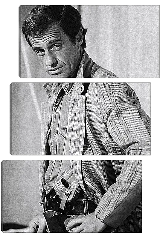 Модульная картина - Жан-Поль Бельмондо. Jean-Paul Belmondo