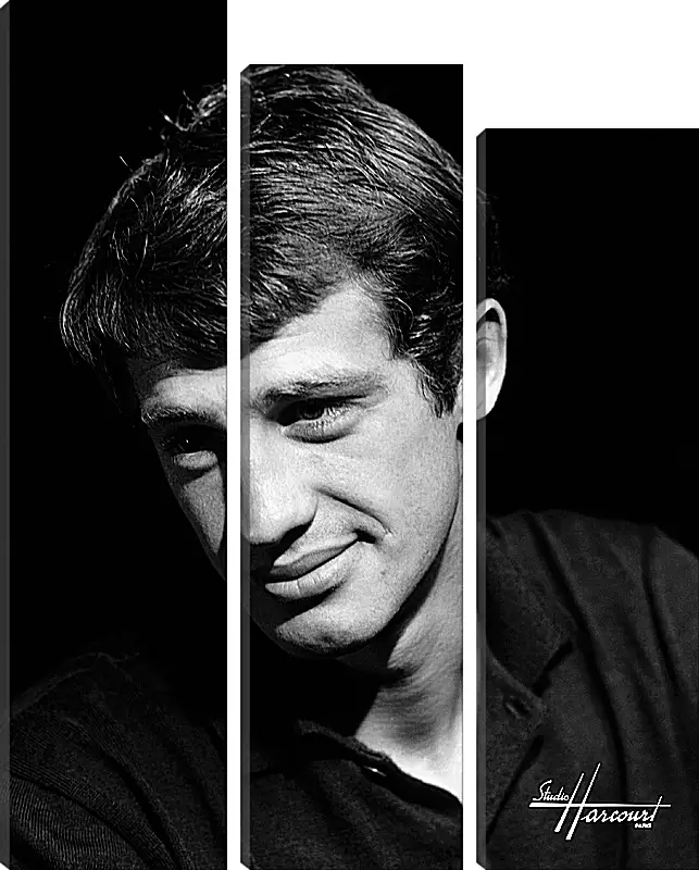 Модульная картина - Жан-Поль Бельмондо. Jean-Paul Belmondo