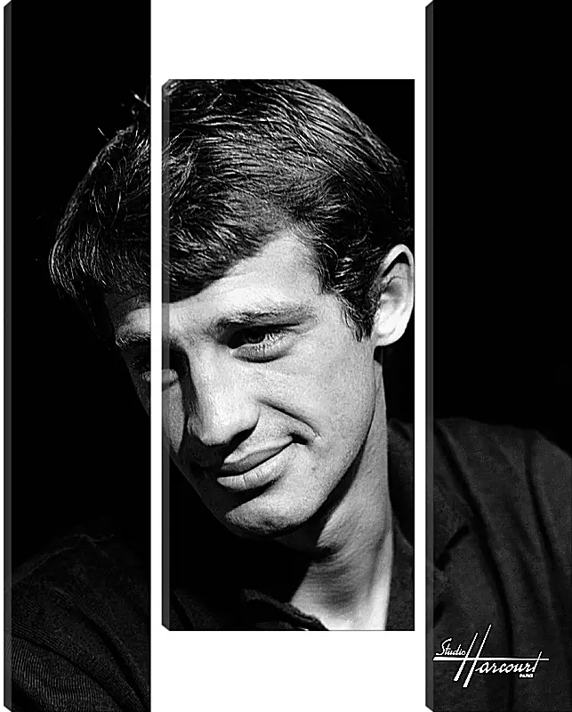 Модульная картина - Жан-Поль Бельмондо. Jean-Paul Belmondo