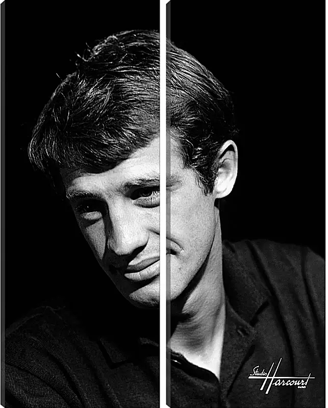 Модульная картина - Жан-Поль Бельмондо. Jean-Paul Belmondo