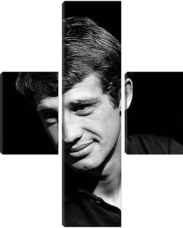 Модульная картина - Жан-Поль Бельмондо. Jean-Paul Belmondo