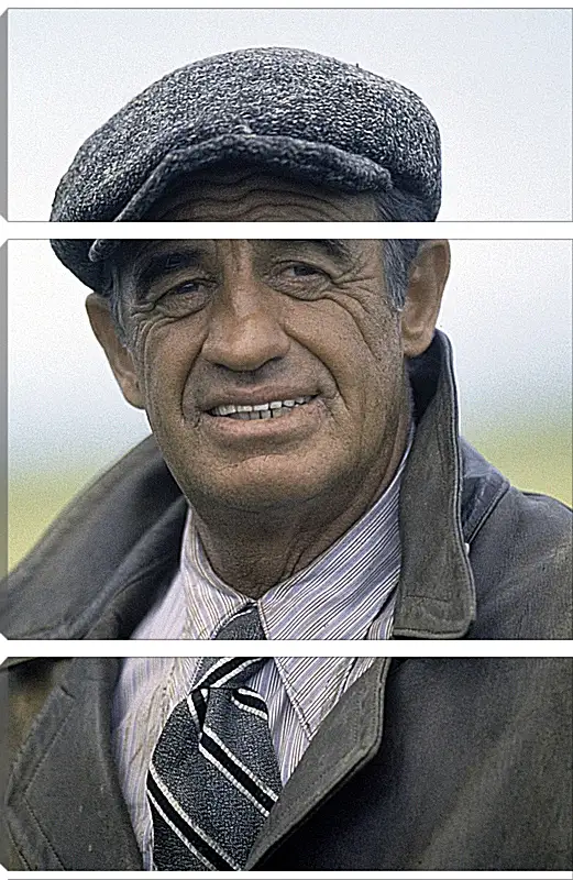 Модульная картина - Жан-Поль Бельмондо. Jean-Paul Belmondo