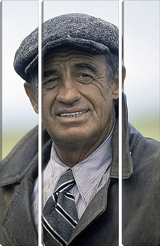 Модульная картина - Жан-Поль Бельмондо. Jean-Paul Belmondo