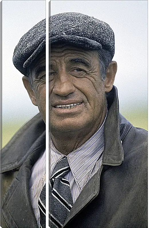 Модульная картина - Жан-Поль Бельмондо. Jean-Paul Belmondo