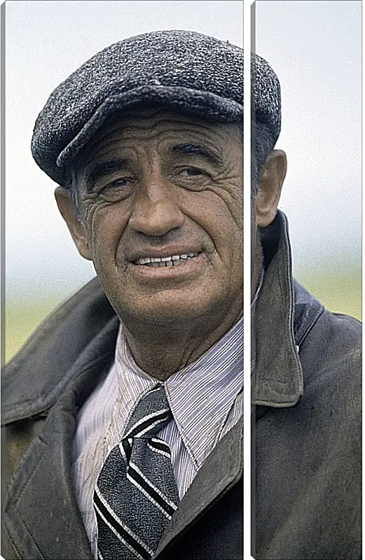 Модульная картина - Жан-Поль Бельмондо. Jean-Paul Belmondo