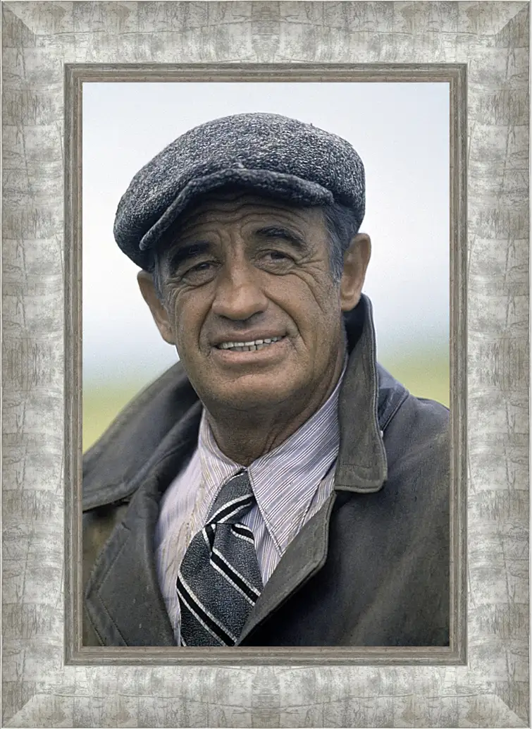 Картина в раме - Жан-Поль Бельмондо. Jean-Paul Belmondo