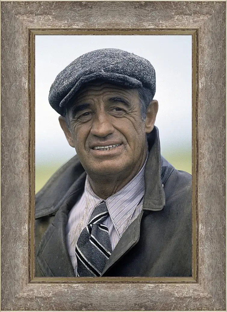 Картина в раме - Жан-Поль Бельмондо. Jean-Paul Belmondo