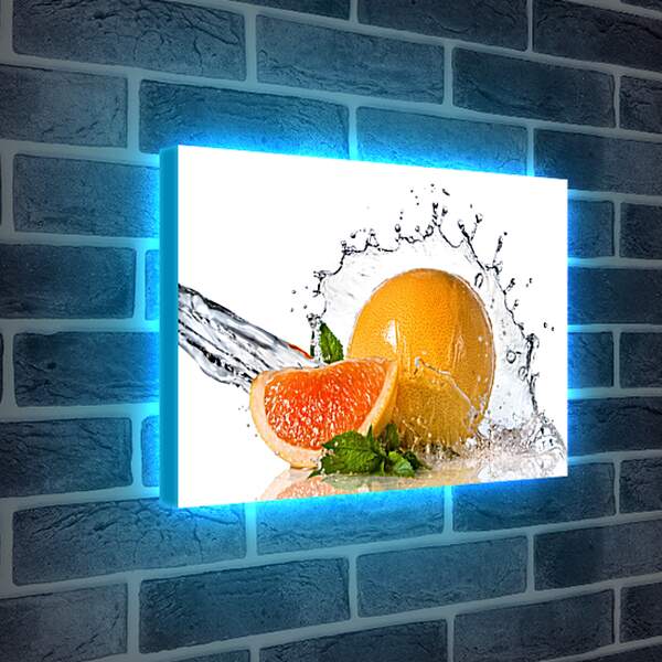 Лайтбокс световая панель - Долька грейпфрута