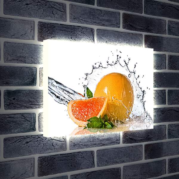 Лайтбокс световая панель - Долька грейпфрута