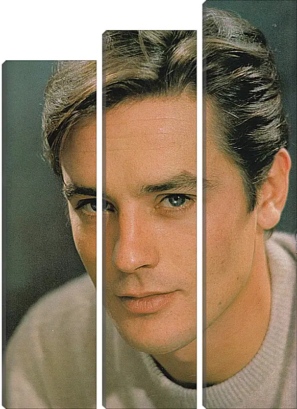 Модульная картина - Ален Делон. Alain Delon