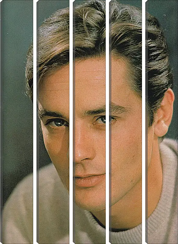 Модульная картина - Ален Делон. Alain Delon