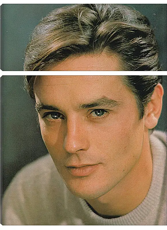 Модульная картина - Ален Делон. Alain Delon