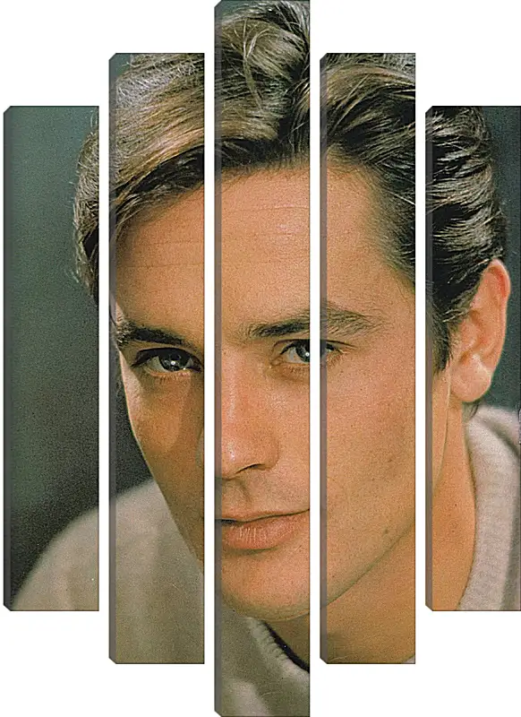 Модульная картина - Ален Делон. Alain Delon