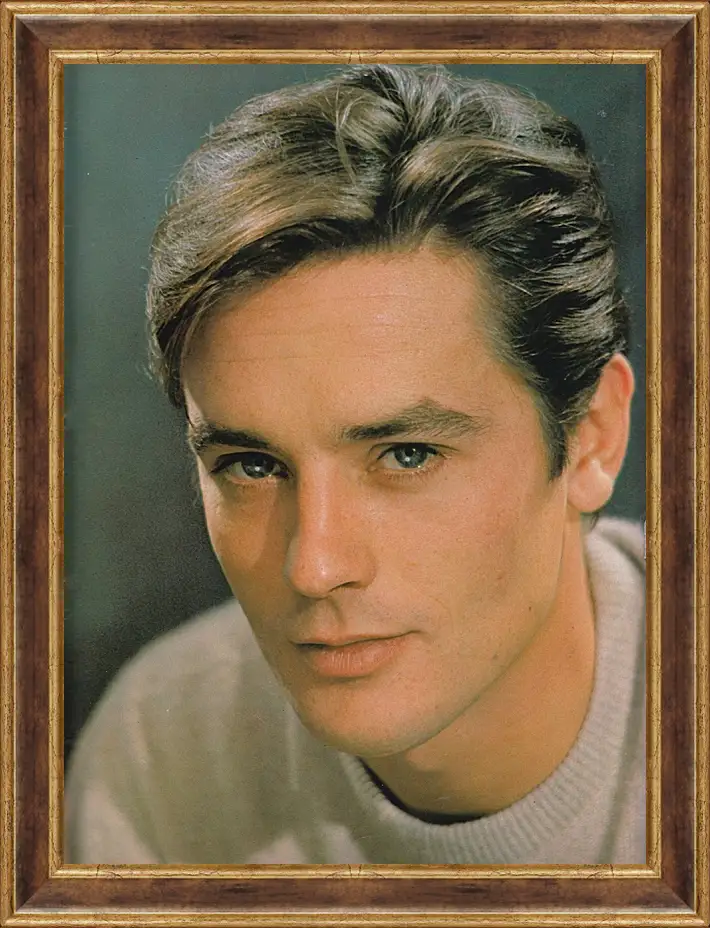 Картина в раме - Ален Делон. Alain Delon